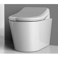 High standard smart intelligent toilet and shower toilet unit